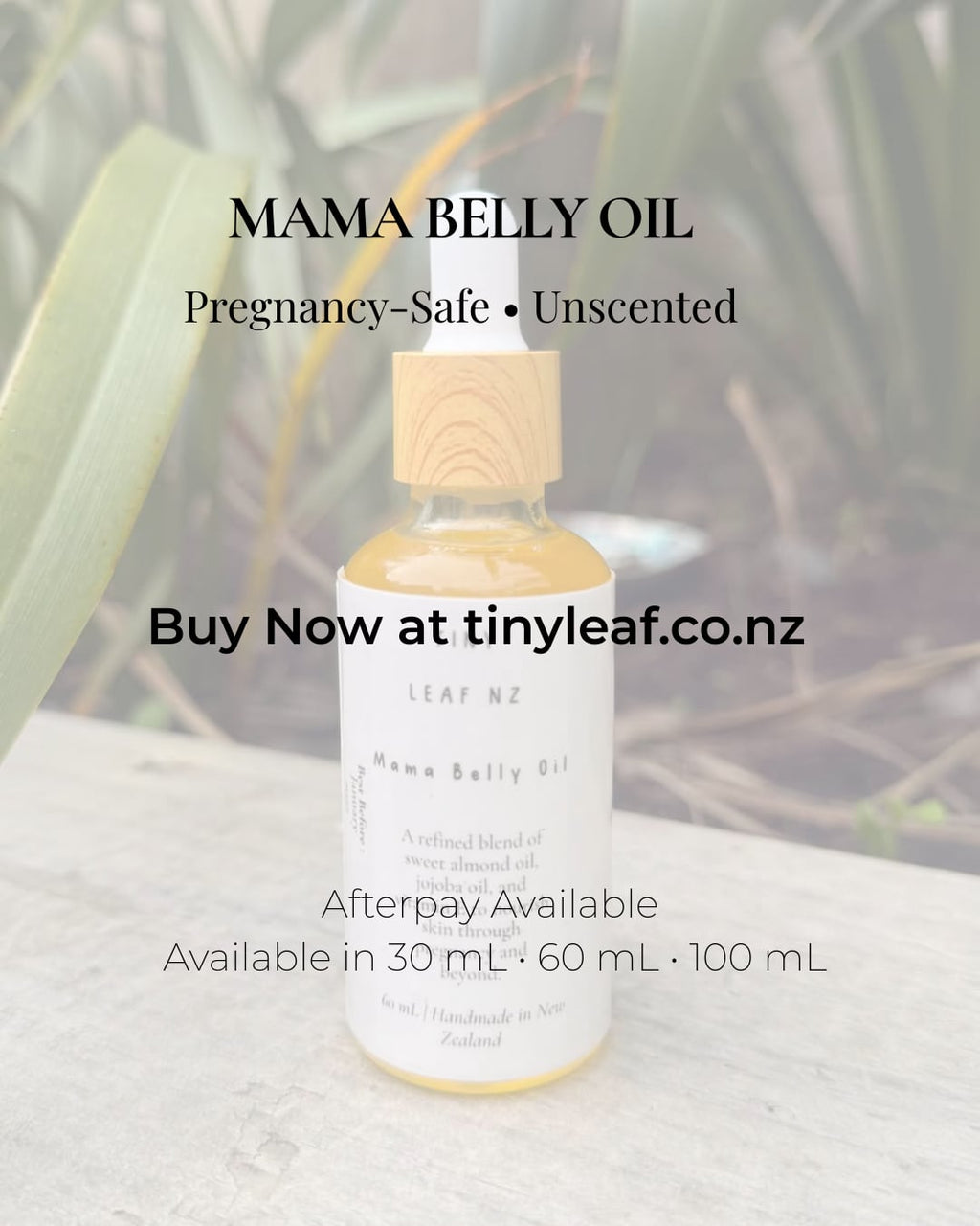 Hinu Puku Mama – Hinu Tinana Whakaora Haumaru-Haputanga
