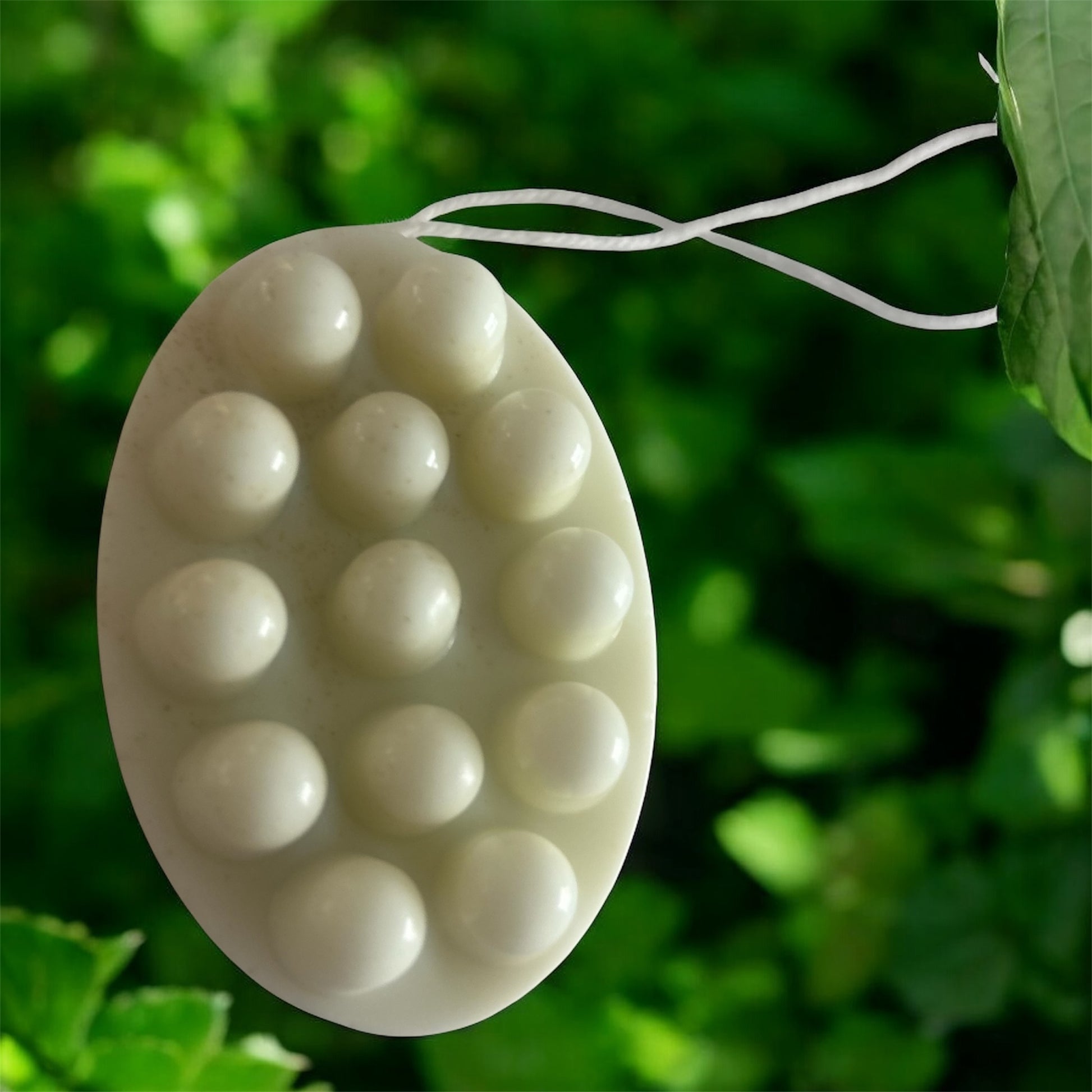 White textured oval Oatmilk Kawakawa Hemp Soap hanging against a green leafy background