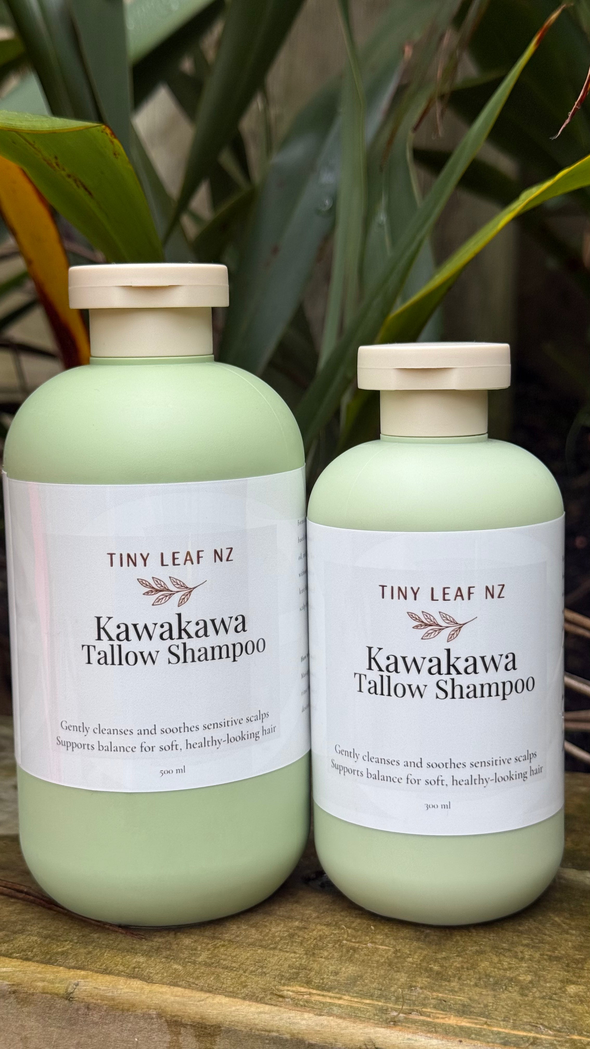 Two pale green bottles of Tiny Leaf NZ Kawakawa Tallow Shampoo placed on a wooden surface with green foliage in the background.