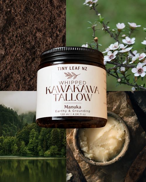 Parai Mata me te Tinana o Tallow Kawakawa